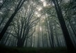 © MdMostafizur - A misty forest with tall trees and a spooky atmosphere, creating a sense of mystery and adventure in nature