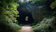 © Kael - mysterious cave entrance partially obscured by overgrown vegetation revealing a dark shadowy interior perfect for adventure mystery or fantasy themes landscape darkness wilderness