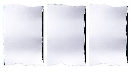 Canvas Print - three torn white paper vertical panels with rough edges, cut out transparent