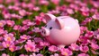 © Vi - Pink Piggy Bank Floral Field with Coins