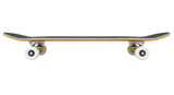Isolated Skateboard on White Background