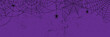 © HelenArt - Black Spider Web and spiders on purple grunge background. Halloween Spooky cobweb hanging , vector Illustration