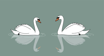 Naklejka na meble Swans Reflect on Water, Mute Swans Swimming in Lake (Illustration)