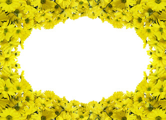 Wall Mural - yellow chrysanthemum flowers in a floral frame isolated on white or transparent background