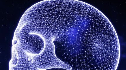 Digital Skull