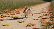 © rahma - Autumnal sprint of a brown bunny across a leaf-strewn path with blurred background