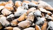 © Yevgen Lytvynenko - Fresh frozen mussels, perfect for adding a touch of elegance to any dish.