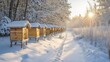 © Pinkwhite - Wooden beehives stand in a row along a snowy path in a bright winter forest. Illustrates beekeeping, sustainable practices, and winter landscapes.