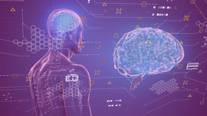 Wall Mural - animation of human body and brain and data processing over dark background