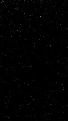 Wall Mural - Vibrant Sparkling Starfield on Black Backdrop Featuring Light Astronomy and Abstract Concepts