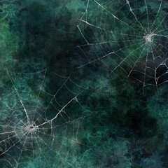 spider web in the morning dew