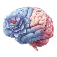 Human brain hemisphere with a blooming blue flower replacing one side symbolizing creativity and thought