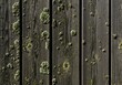 © Thanakrit - A detailed close-up of weathered wooden planks with natural lichen growth.