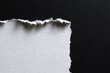 © ttonaorh - Ripped beige paper on black textured background with placeholder text, perfect for design mockups, presentations, or artistic layouts.