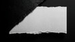 © ttonaorh - Ripped beige paper on black textured background with placeholder text, perfect for design mockups, presentations, or artistic layouts.
