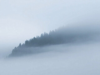 Naklejka na meble forest mountain foggy aerial view