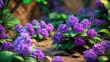 Clusters of purple flowers growing among rocks and green leaves.