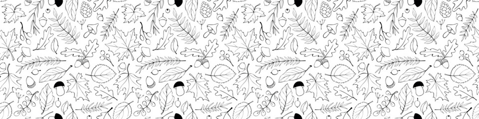 Wall Mural - Seamless pattern falling leaves, acorns, berries, mushrooms. Vector outline, hand drawn autumn texture, isolated, in doodle style