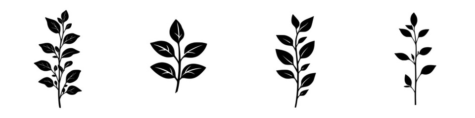 Wall Mural - Minimalist black-and-white vector illustration of leaf silhouettes in a simple design