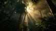 © Fahrun - Sunlight streams through lush tropical forest