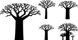 A clear black silhouette of a baobab with a powerful trunk and spreading branches. Ideal for T-shirts, posters and microstock. An elegant composition in the spirit of minimalism.