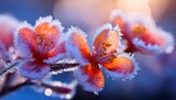 close up macro shot of delicate spring blossoms their surfaces adorned with glistening frost the image captures the transition from winter to spring with vibrant colors peeking through the icy