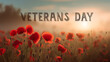 © Anime & Nature - Veterans day poppies remembrance background image for memorial holiday