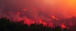 © Елена Атаманюк- Кало - Wildfire burning forest on mountainside at sunset creating dense smoke