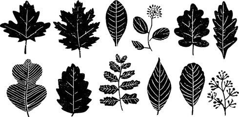 Wall Mural - Linocut tree leaves collection featuring oak and maple leaf designs for nature-inspired art and decoration