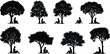© Mim's World - Silhouettes of people sitting under trees, relaxing, meditation, reading, nature illustration, peaceful outdoor scene, vector design, black isolated artwork