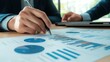© afridwi - Business person analyzing financial charts and graphs