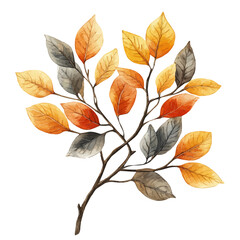 Autumn Tree Branch, watercolor painting vector, isolated on a white background.