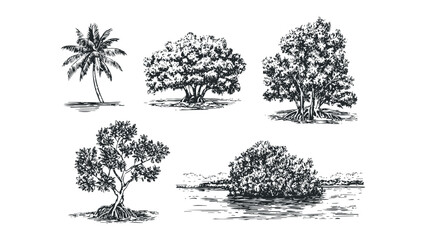 Collection of hand-drawn botanical sketches featuring palm and mangrove trees. Vector hand drawn illustration