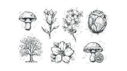 Black and white botanical sketch collection with mushrooms, flowers, artichoke, and tree. Vector hand drawn illustration