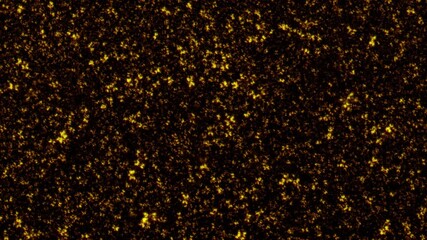 Canvas Print - loop gold dust stars particles animation motion flow up on black abstract background. gold stars par