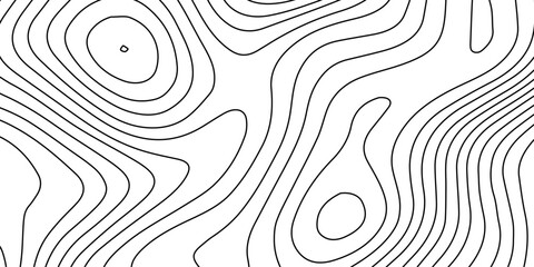 Minimal white luxury topographic map background with flowing wave curve lines, digital contour design, seamless geography grid vector artwork