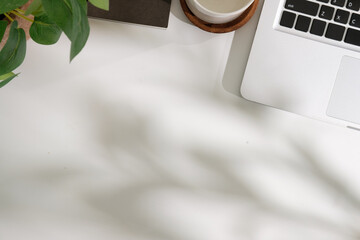 Wall Mural - Flat lay of workspace with laptop, coffee cup, and green plant on white desk background.