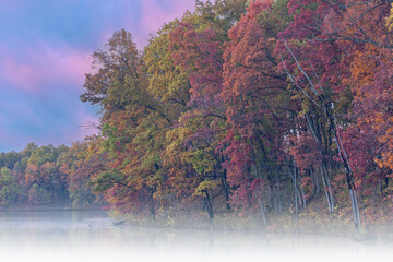 Wall Mural - Foggy autumn landscape of the shoreline of Eagle Lake at dawn, Fort Custer State Park, Michigan, USA