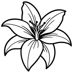 Lily line art vector