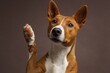 © nasma - Dog raising a paw, curious expression