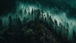 © Kai - Misty forest landscape at dawn nature photography tranquil environment serene viewpoint forests and mountains