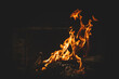 © Eve Saint-Ramon - Bright orange flames rising from a wood vine barbecue fire, glowing and crackling with natural warmth