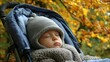 © Promptalo - A baby sleeps peacefully in a stroller, bundled up in warm clothing, with autumn leaves in the background