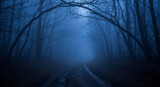 A mysterious and spooky dirt road leads into a dark and foggy blue forest at night a perfect atmospheric and creepy background for a horror or fantasy tale