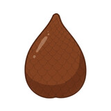 Illustration of a brown salak fruit, also known as snake fruit, isolated on white isolated on transparent background