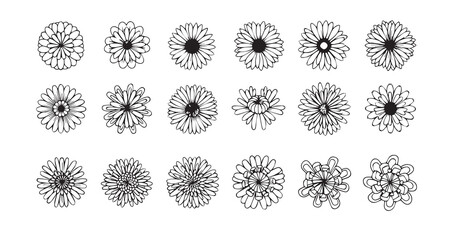 Chrysanthemum line art icon bundle illustration