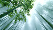 © Sergey - Serene bamboo forest swaying in the wind - nature's tranquility vertical scene for meditation and inspiration