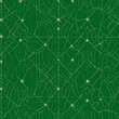 © TE - Intricate spider web artistry nature-inspired digital patterns on a green aesthetic background