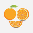 © setiajipamungkas - isolated illustration Collection of Orange Fruit EPS Vector
