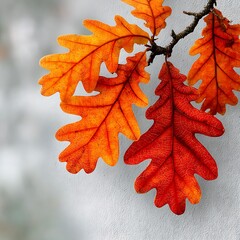 close-up of vibrant orange oak leaves on a branch autumn fall